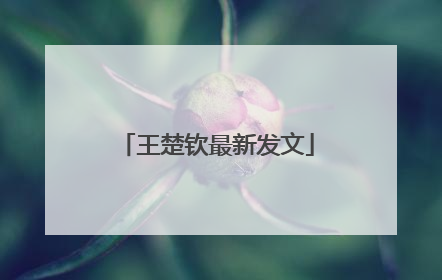 王楚钦最新发文