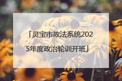 灵宝市政法系统2025年度政治轮训开班