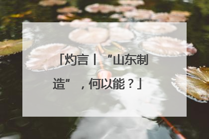 灼言丨“山东制造”，何以能？