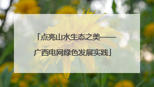 点亮山水生态之美——广西电网绿色发展实践
