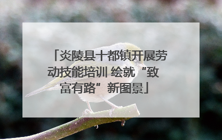 炎陵县十都镇开展劳动技能培训 绘就“致富有路”新图景