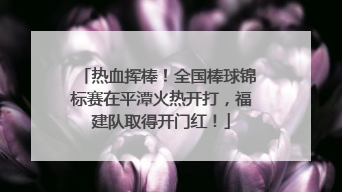 热血挥棒！全国棒球锦标赛在平潭火热开打，福建队取得开门红！
