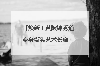 焕新！黄陂锦秀道变身街头艺术长廊