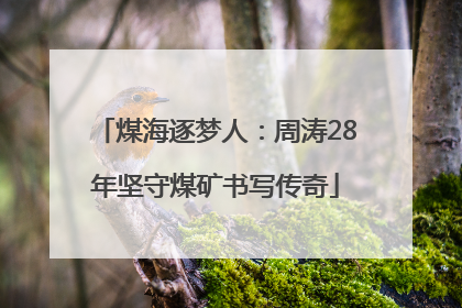 煤海逐梦人：周涛28年坚守煤矿书写传奇