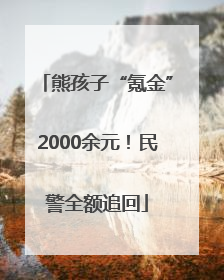熊孩子“氪金”2000余元！民警全额追回