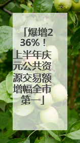 爆增236%！上半年庆元公共资源交易额增幅全市第一