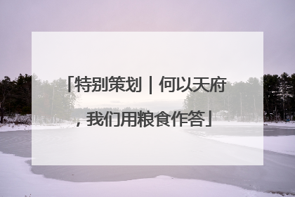 特别策划｜何以天府，我们用粮食作答