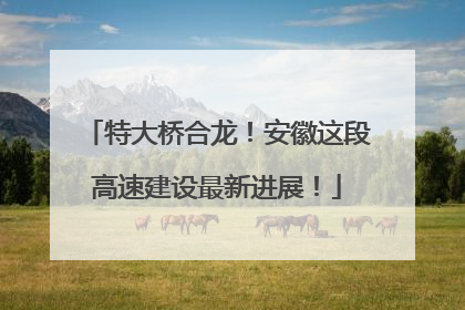 特大桥合龙！安徽这段高速建设最新进展！