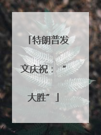 特朗普发文庆祝：“大胜”