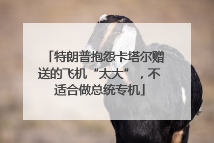 特朗普抱怨卡塔尔赠送的飞机“太大”，不适合做总统专机