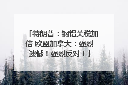 特朗普：钢铝关税加倍 欧盟加拿大：强烈遗憾！强烈反对！