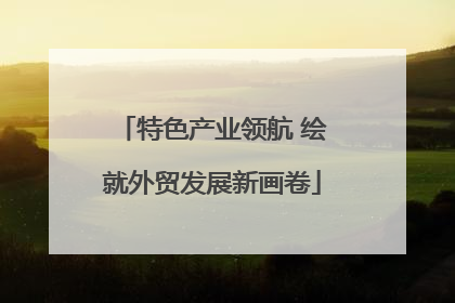 特色产业领航 绘就外贸发展新画卷