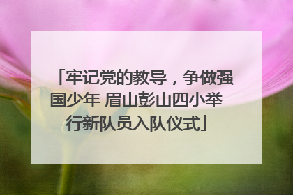 牢记党的教导，争做强国少年 眉山彭山四小举行新队员入队仪式