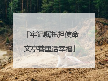 牢记嘱托担使命 文亭巷里话幸福