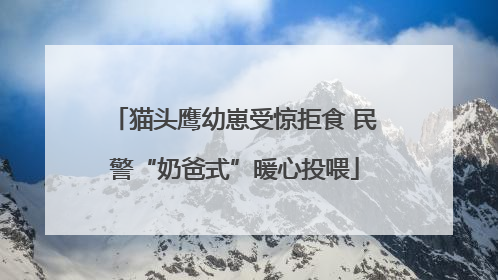 猫头鹰幼崽受惊拒食 民警“奶爸式”暖心投喂