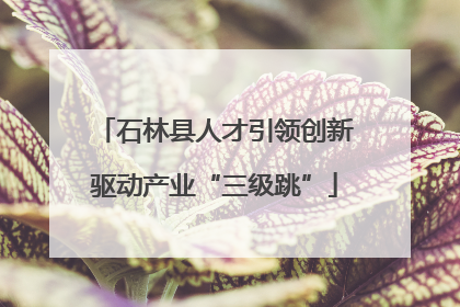 石林县人才引领创新驱动产业“三级跳”