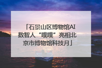 石景山区博物馆AI数智人“噗噗”亮相北京市博物馆科技月