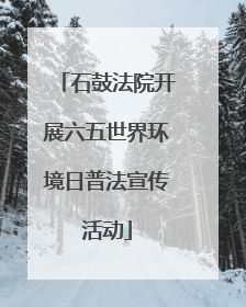 石鼓法院开展六五世界环境日普法宣传活动