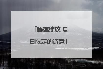 睡莲绽放 夏日限定的诗意