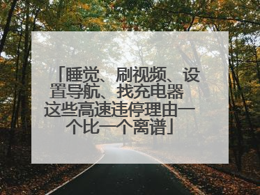 睡觉、刷视频、设置导航、找充电器 这些高速违停理由一个比一个离谱