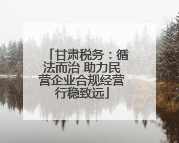 甘肃税务：循法而治 助力民营企业合规经营行稳致远