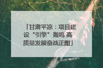 甘肃平凉：项目建设“引擎”轰鸣 高质量发展奋战正酣
