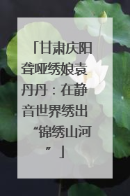 甘肃庆阳聋哑绣娘袁丹丹：在静音世界绣出“锦绣山河”