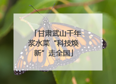 甘肃武山千年浆水菜“科技焕新”走全国