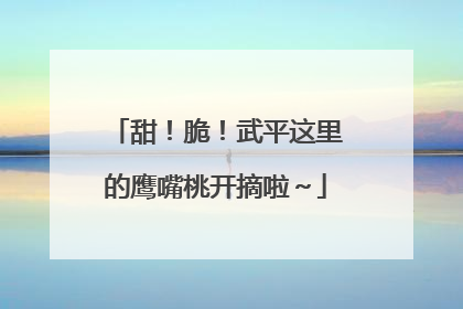 甜！脆！武平这里的鹰嘴桃开摘啦～
