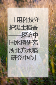 用科技守护黑土稻香——探访中国水稻研究所北方水稻研究中心