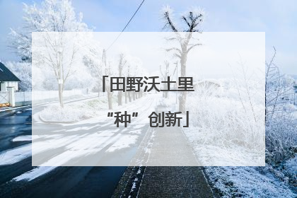 田野沃土里“种”创新