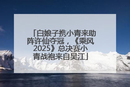白娘子携小青来助阵许仙夺冠，《乘风2025》总决赛小青战袍来自吴江