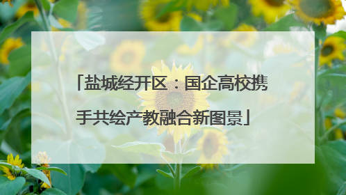 盐城经开区：国企高校携手共绘产教融合新图景