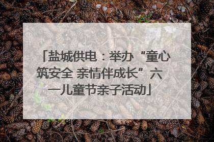 盐城供电：举办“童心筑安全 亲情伴成长”六一儿童节亲子活动