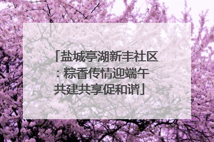 盐城亭湖新丰社区：粽香传情迎端午 共建共享促和谐