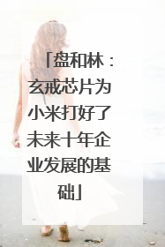 盘和林：玄戒芯片为小米打好了未来十年企业发展的基础