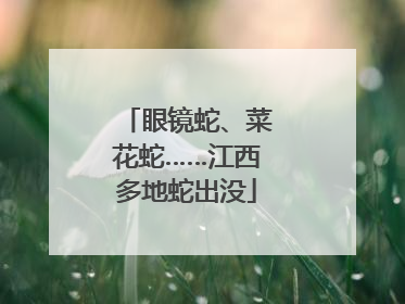 眼镜蛇、菜花蛇……江西多地蛇出没