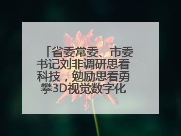 省委常委、市委书记刘非调研思看科技，勉励思看勇攀3D视觉数字化科技高峰
