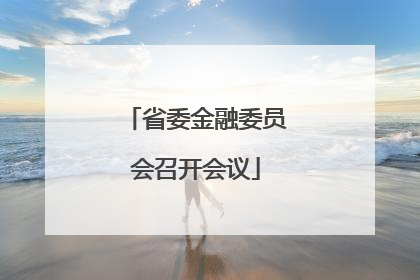 省委金融委员会召开会议