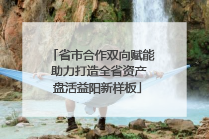 省市合作双向赋能 助力打造全省资产盘活益阳新样板