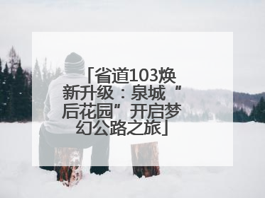 省道103焕新升级：泉城“后花园”开启梦幻公路之旅