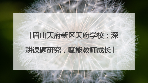 眉山天府新区天府学校：深耕课题研究，赋能教师成长
