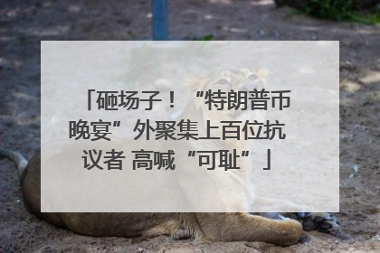 砸场子！“特朗普币晚宴”外聚集上百位抗议者 高喊“可耻”