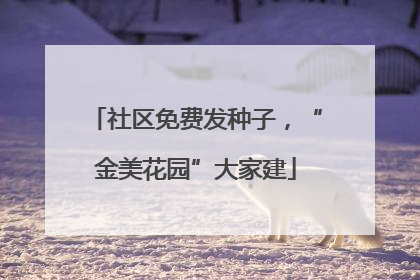 社区免费发种子，“金美花园”大家建