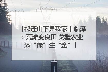 祁连山下是我家｜临泽：荒滩变良田 戈壁农业添“绿”生“金”