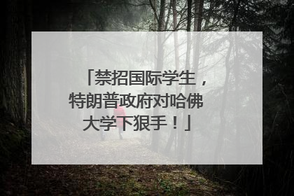 禁招国际学生，特朗普政府对哈佛大学下狠手！