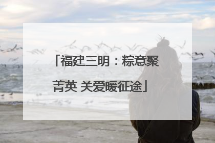 福建三明：粽意聚菁英 关爱暖征途