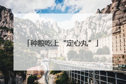 种粮吃上“定心丸”
