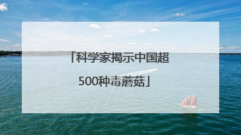 科学家揭示中国超500种毒蘑菇