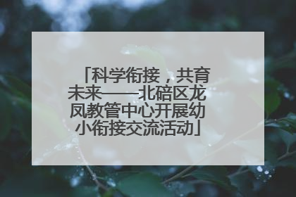 科学衔接，共育未来——北碚区龙凤教管中心开展幼小衔接交流活动